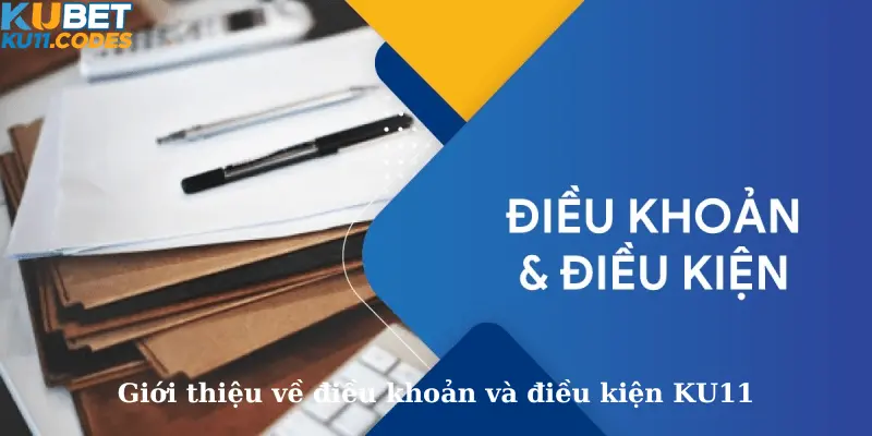 Giới thiệu về điều khoản và điều kiện KU11